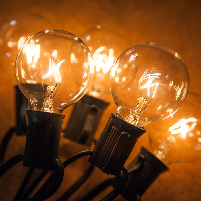 The Holiday Aisle® Shofner Outdoor 15 Bulb 180'' Plugin Globe String